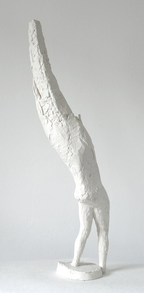 Steffen Bachmann - Ein Arm 1